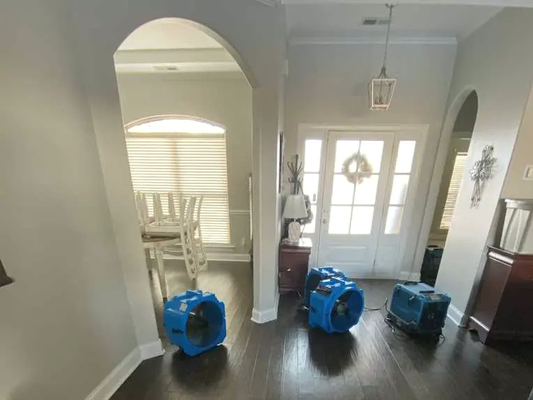 Carpet cleaning service Kennesaw in Kennesaw